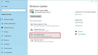 Windows Update view update history option