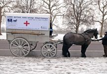 horse_ambulance_2.jpg