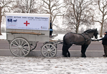 horse_ambulance_2.jpg