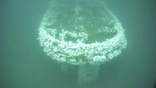 Stern view of the shipwreck USS Conestoga colonized with sea anemones.