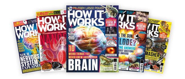 Live Science: The Most Interesting Articles, Mysteries & Discoveries