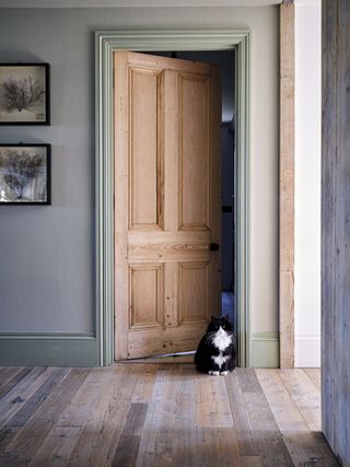 green skirting and architrave with grey walls and timber floor
