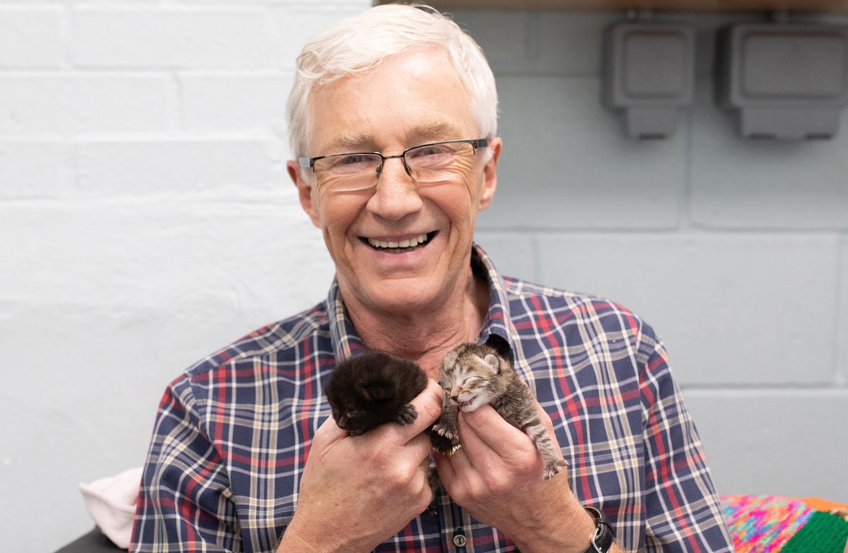 Paul O’Grady: For the Love of Dogs