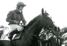 shergar-HP.jpg