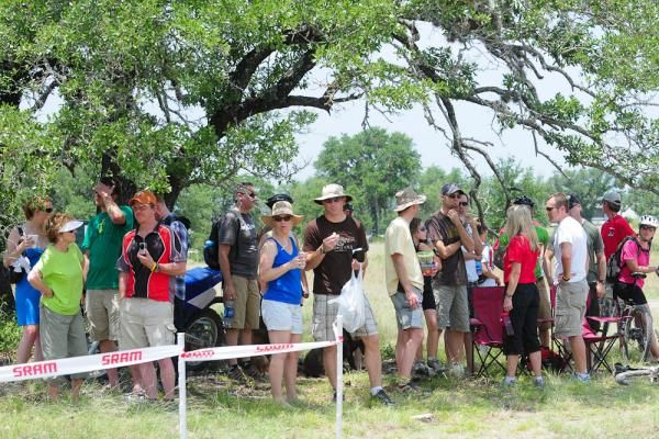 Shade trees were very popular today.
