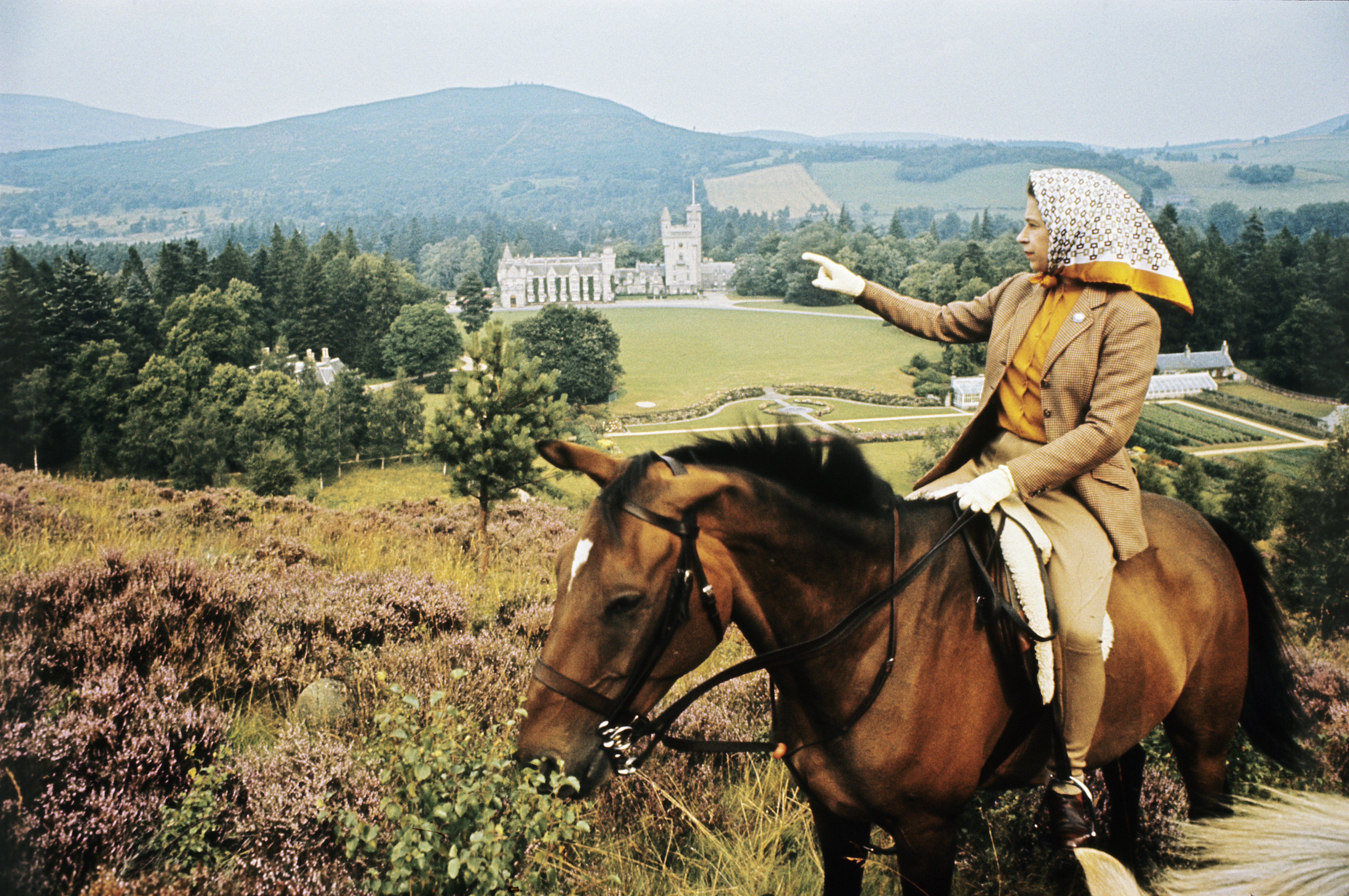 Elizabeth II in a tweed jacket and jodhpurs and a headscarf riding a horse 