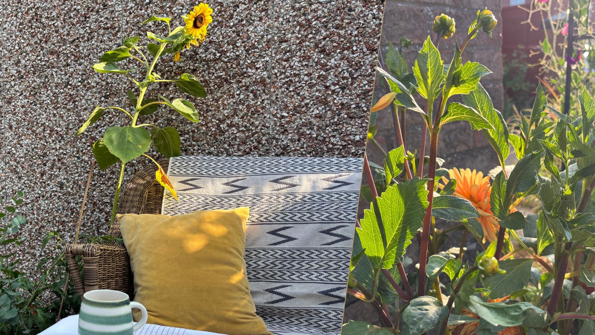 The image shows a cup of tea placed on an outdoor coffee table, next to a sofa and cushion. Green plants and a tall sunflower surround the garden furniture.