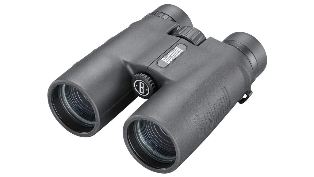 Best budget binoculars for under 100 in 2024 Digital Camera World