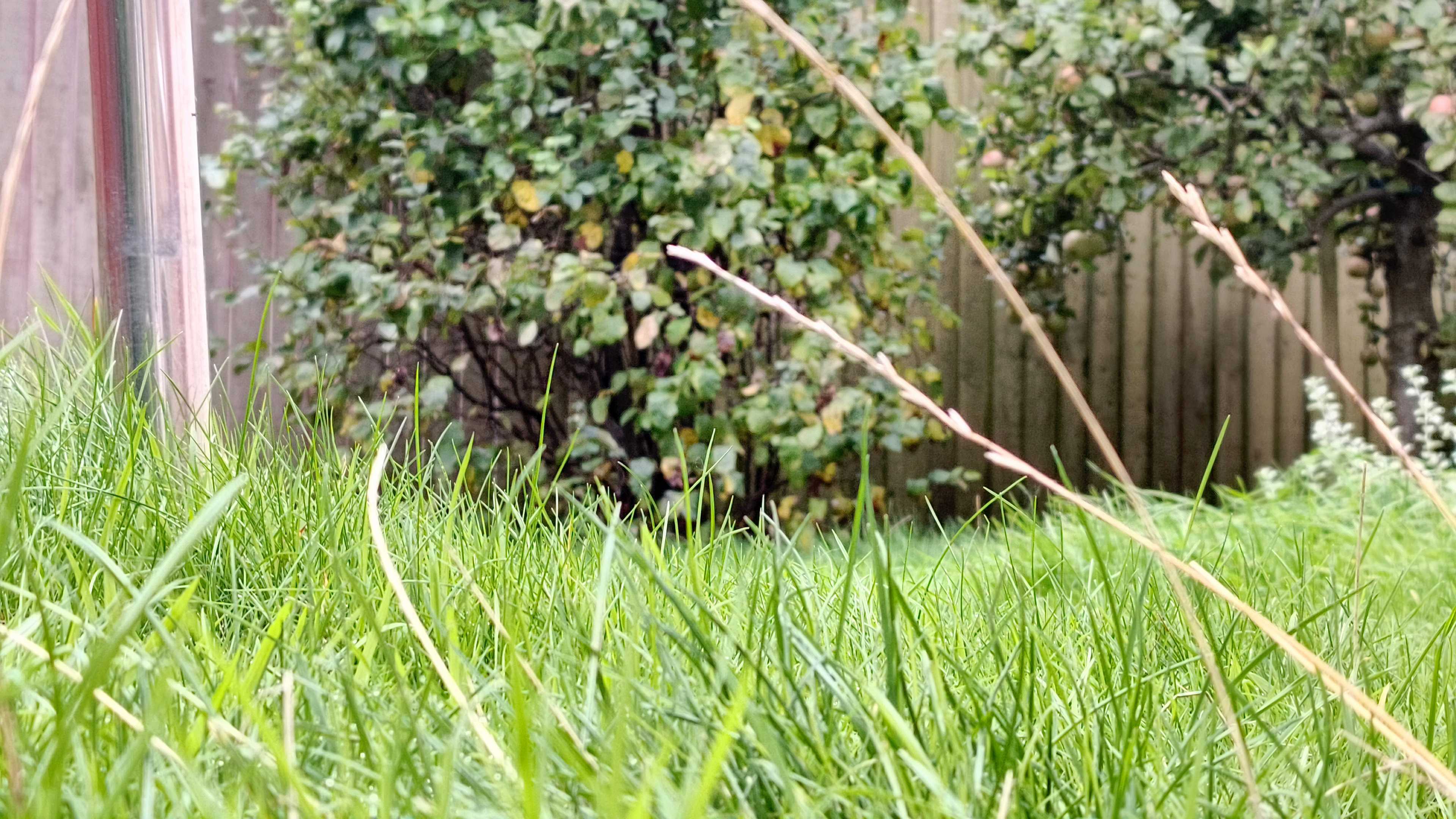 Image taken using the camera on an Infinix GT 30 Pro