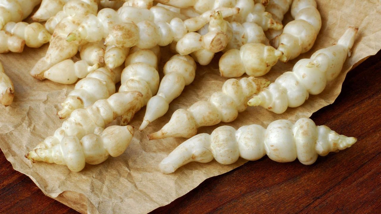 Chinese artichoke tubers in a bag