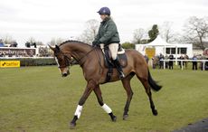 Kauto-Star-Newbury2013.jpg