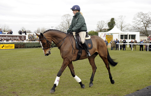 Kauto-Star-Newbury2013.jpg