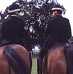 9682DA95-4BCE-4EC0-9193-B48775553240.jpg