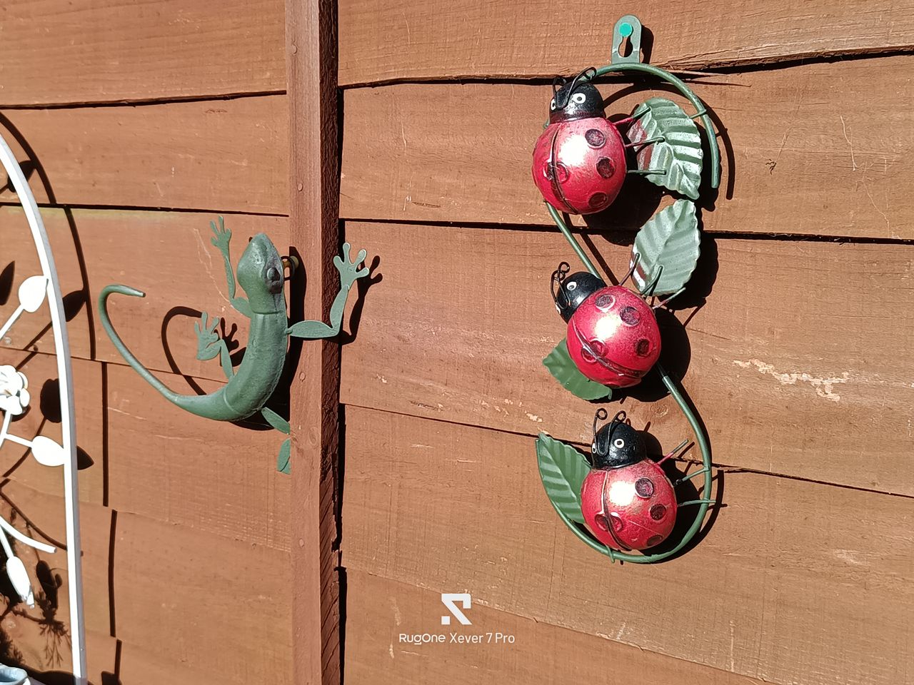 RugOne Xever 7 Pro Photo Examples