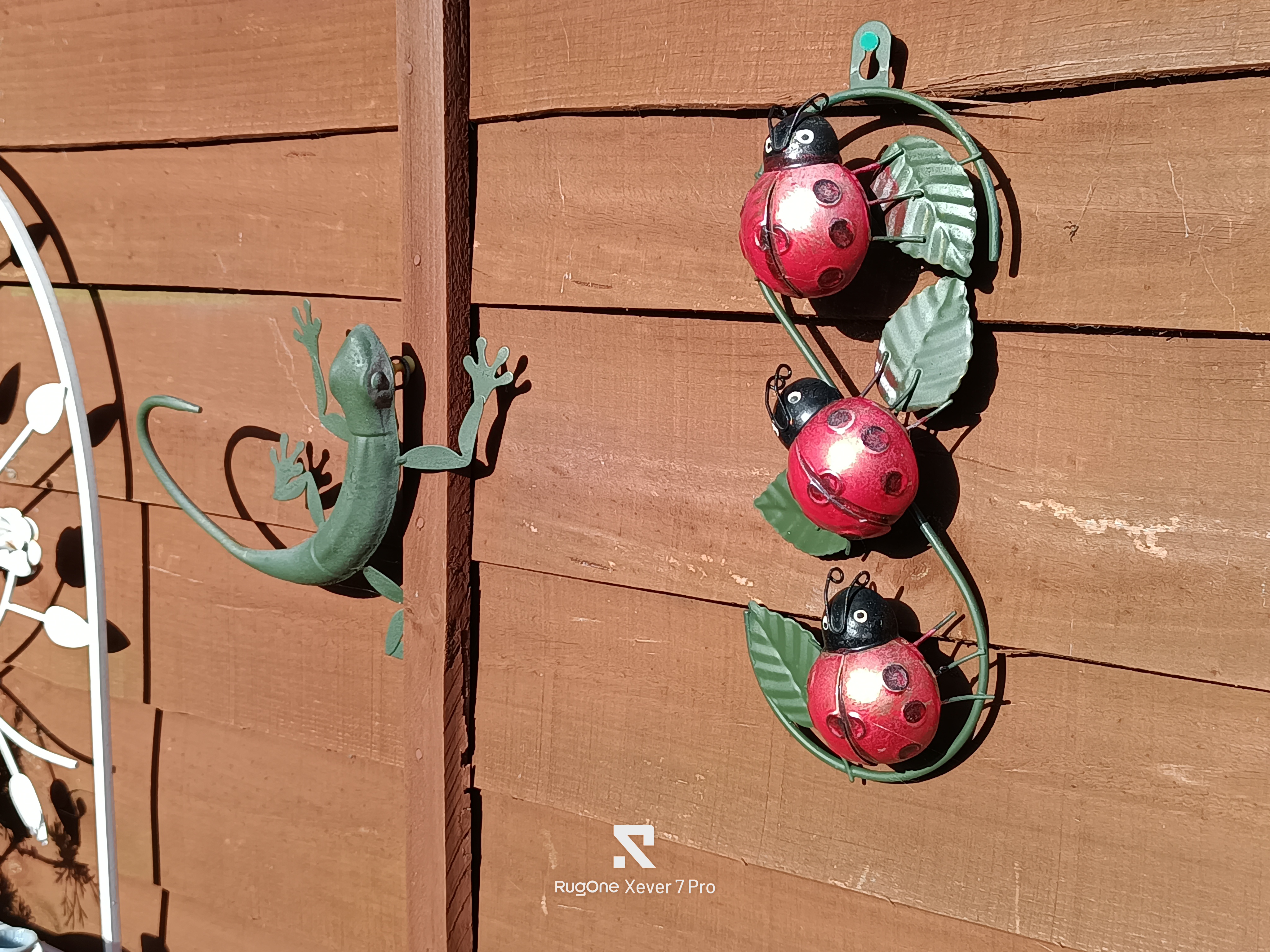 RugOne Xever 7 Pro Photo Examples