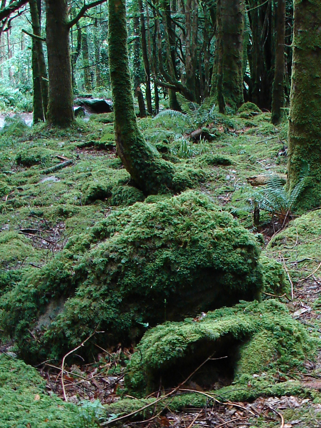 Ireland, green, colors
