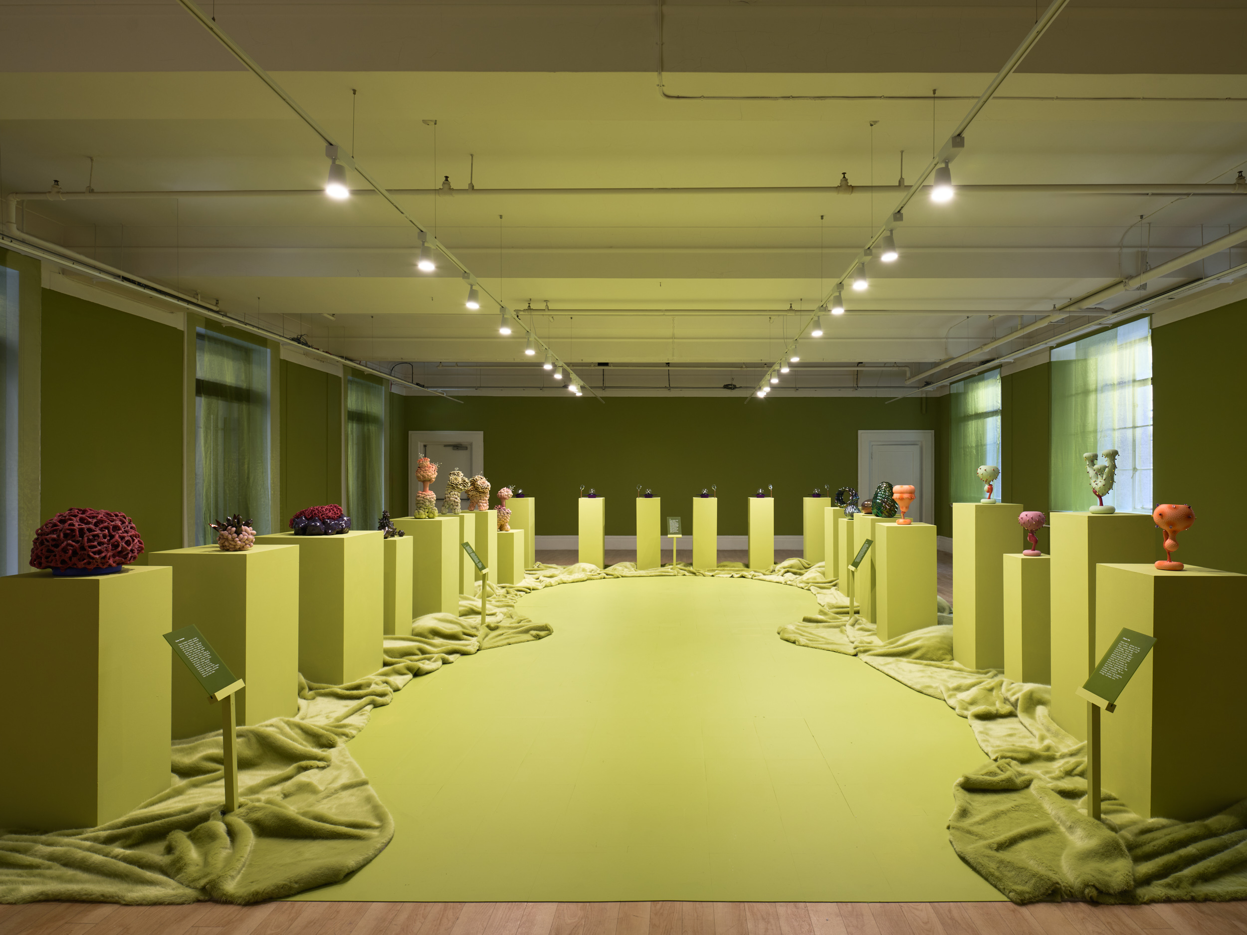 Futuristic ceramics in green gallery space at County Hall Pottery
