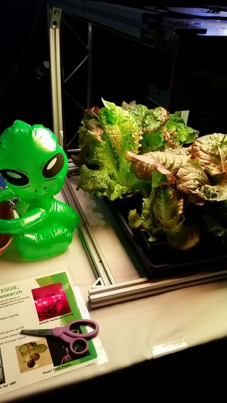 One booth at the 2015 NASA Innovation Expo featured a green alien and samples of plants grown aboard the International Space Station.