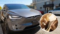 Main Image– Model X suv by Tesla Motors parked on a side street in the Cow Hollow neighborhood of San Francisco, California, August 28, 2016; Secondary Image–Zoom in on hand playing guitar
