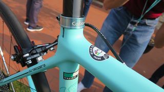 bianchi climbing bike