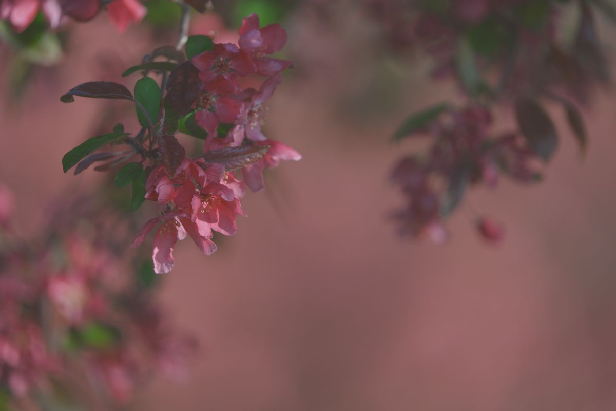 Sample image shot on the Sony A7R VI, unedited JPEG