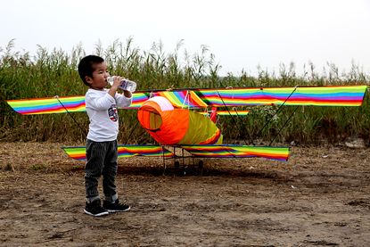 A child at a kite festival 