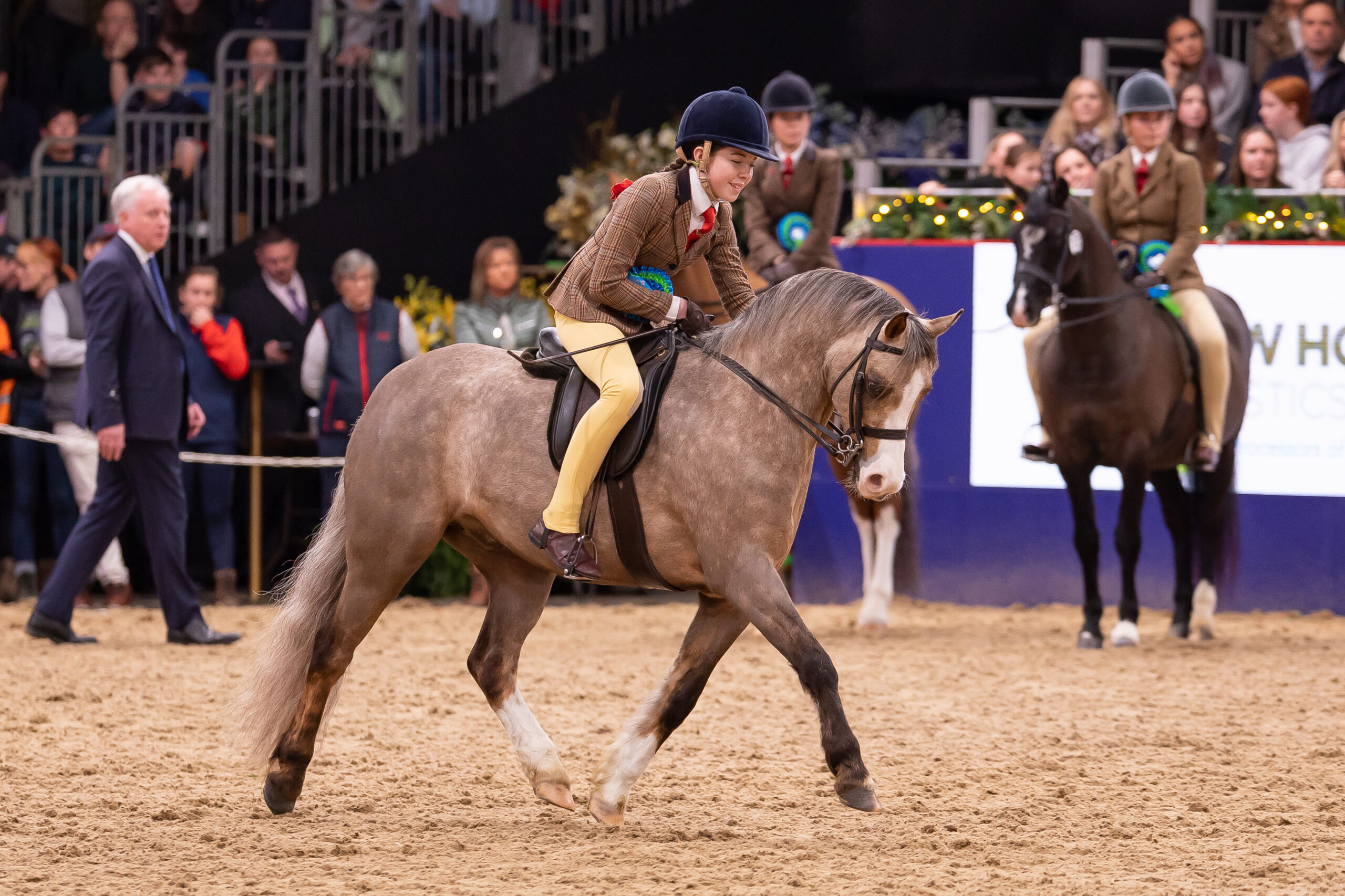 Maisie Kerry-Oates and Cadlanvalley Royal Bronze trot to fourth place and best junior.