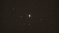 An image of the night sky with one very bright star in the middle