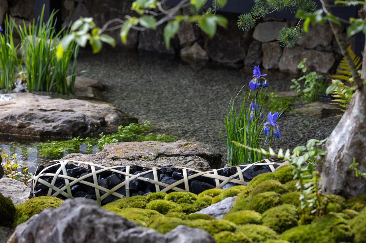 Details of the Tokonoma Garden &ndash; Sanumaya no Niwa, a nostalgic garden scene in a japanese style. IE lots of moss and bonsai and stones