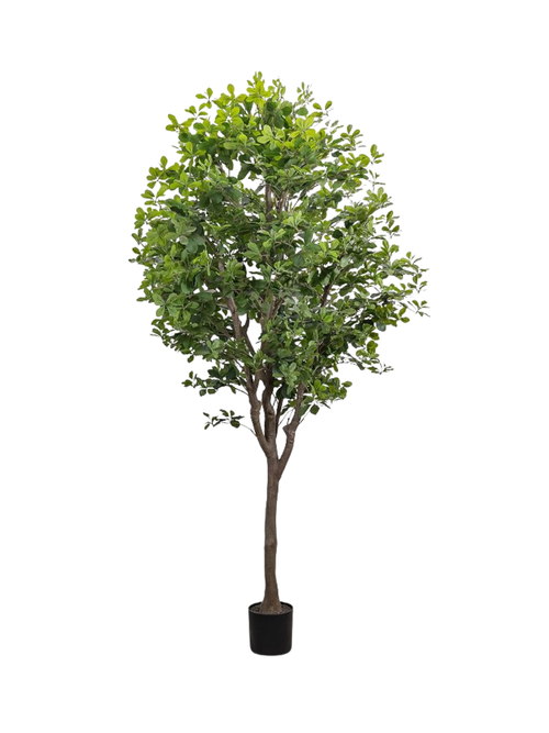 Faux Potted Aralia Tree