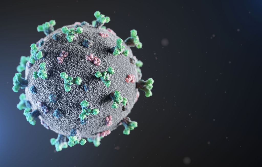 The sneaky way the coronavirus mutates to escape the immune system