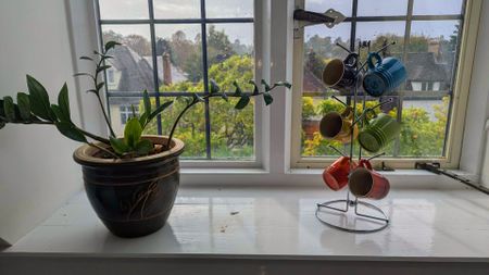 Le Creuset Espresso coffee mugs on a window sill with a potted house plant