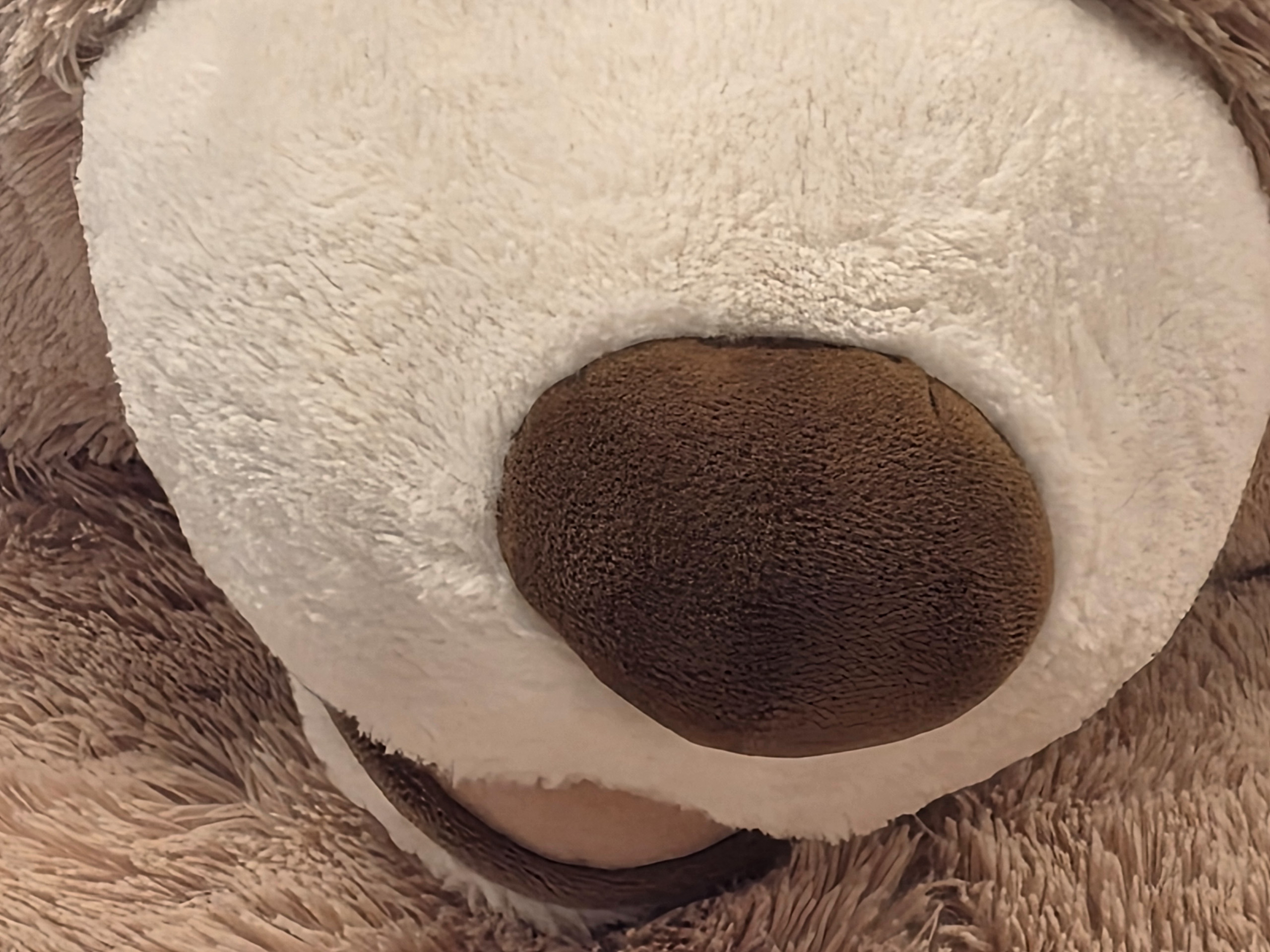 Camera sample captured on the Samsung Galaxy S25 Edge