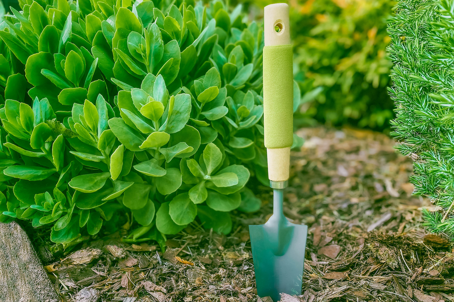 flower bed with biodegradable mulch