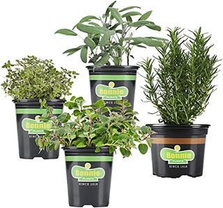 Bonnie Plants Herb Garden (4-Pack), Live Plants, Grow Fresh Grilling Garnishes, Sage, Thyme, Oregano & Rosemary