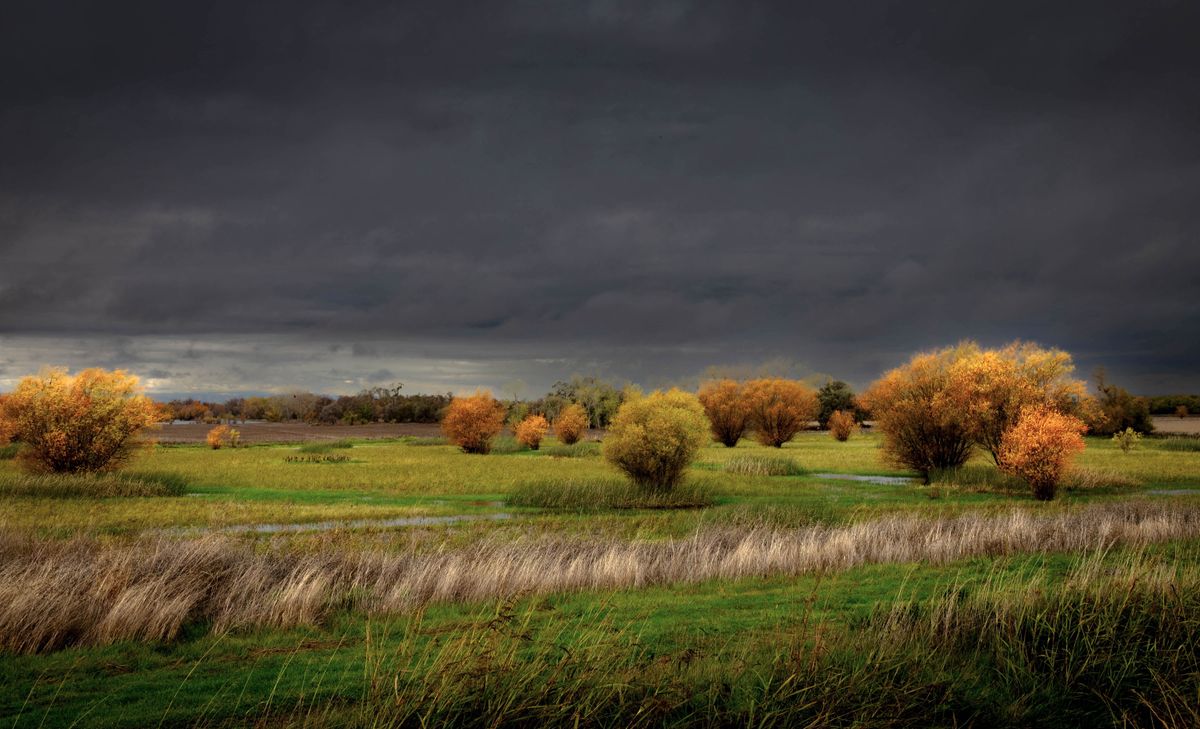 GuruShots - Vivid Landscapes March 2026