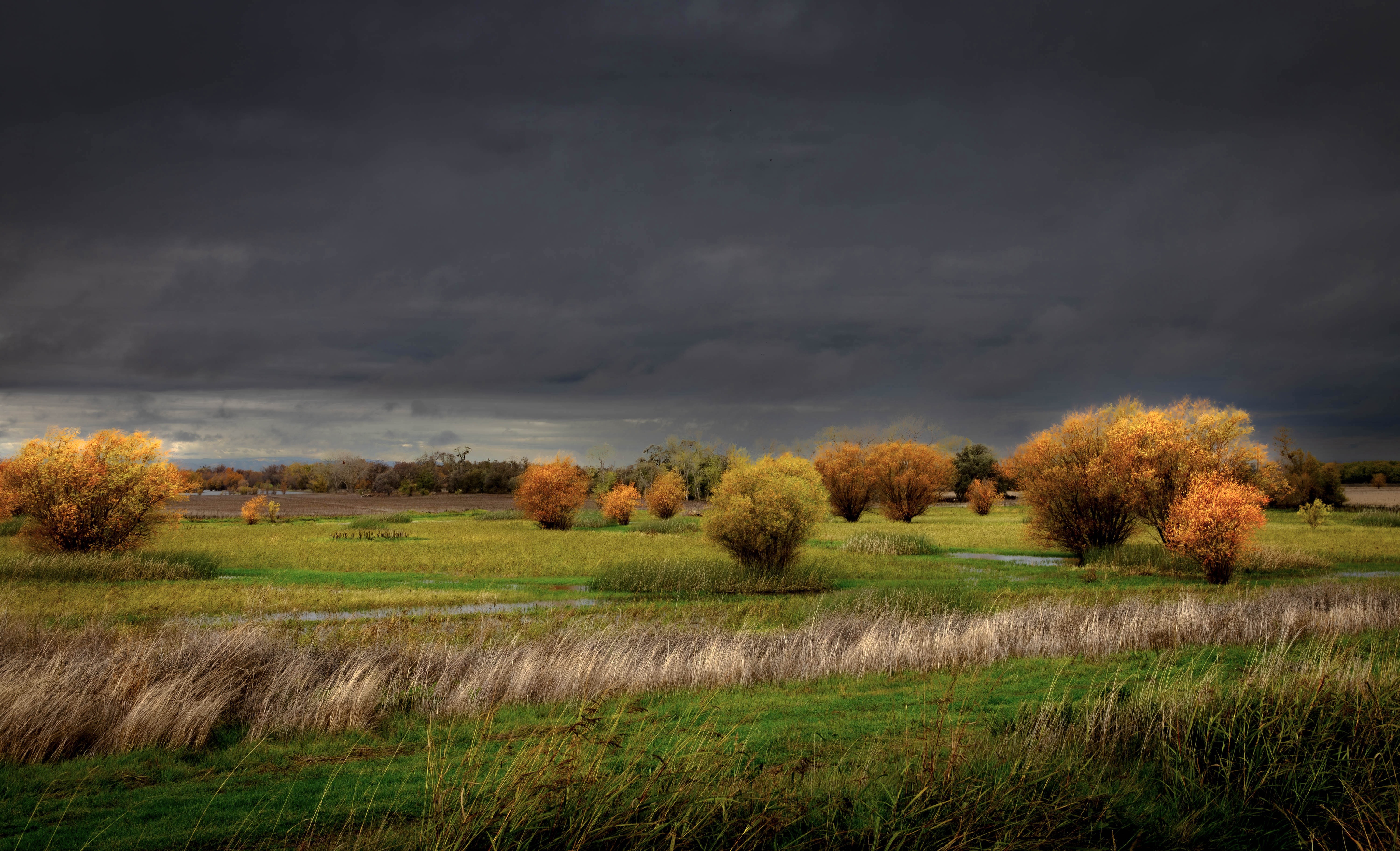 GuruShots - Vivid Landscapes March 2026