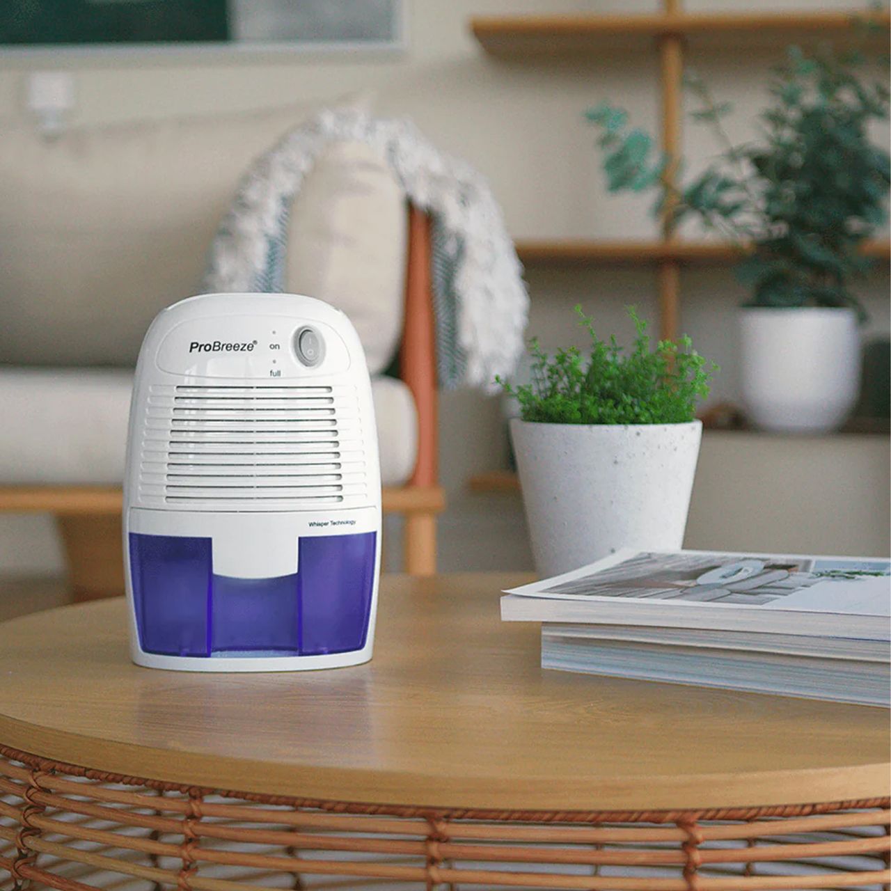 Best dehumidifiers under £100 UK 2024 tried and tested Ideal Home