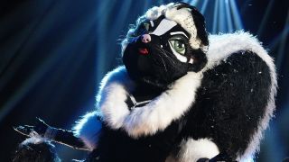 The Skunk on The Masked Singer