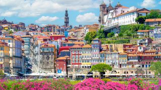 Vista of colorful houses on a hill in Porto, Portugal.