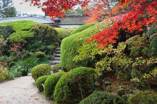 Zen garden ideas: azalea shrubs cut into topiary around steps in Japanese inspired garden