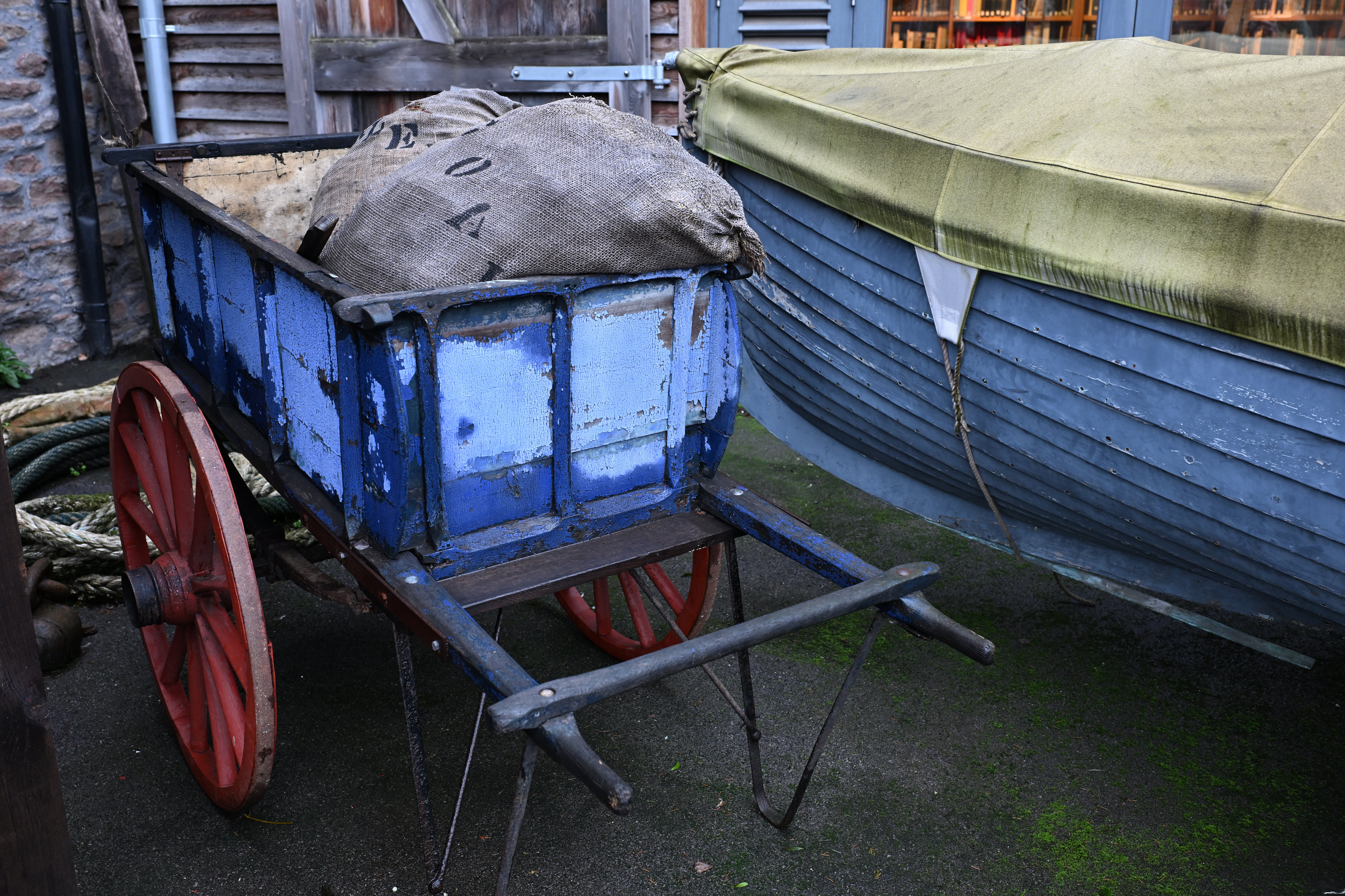 Meike 35mm f/1.8 Pro AF sample shot