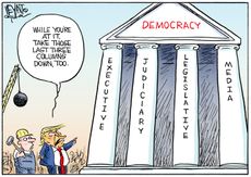 Political Cartoon