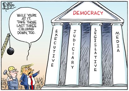Political Cartoon