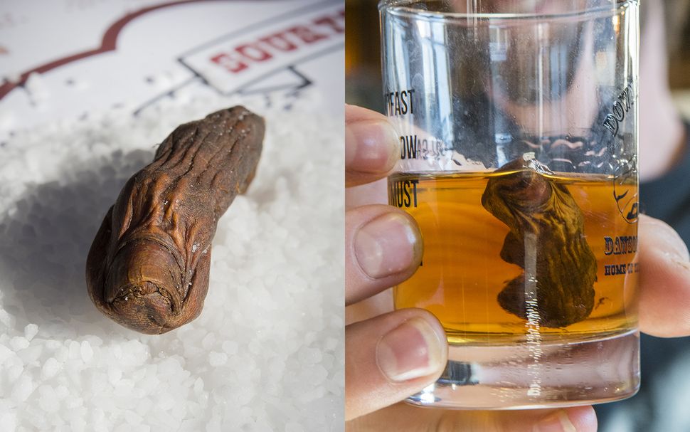 You Could Drink This Man's Frostbitten, Amputated Toes in a Cocktail