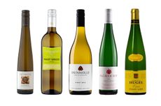 a selection of the best Pinot Grigio wines