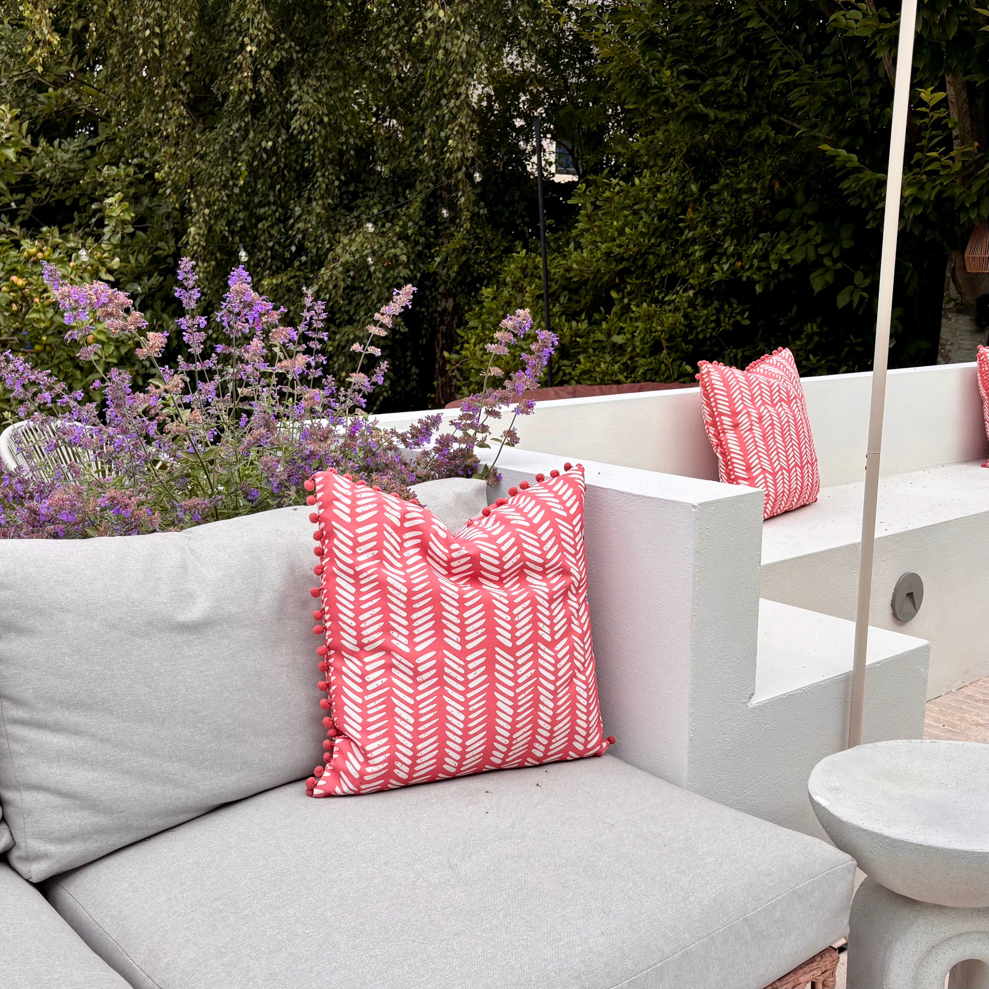 catmint in a planter by seating on a patio