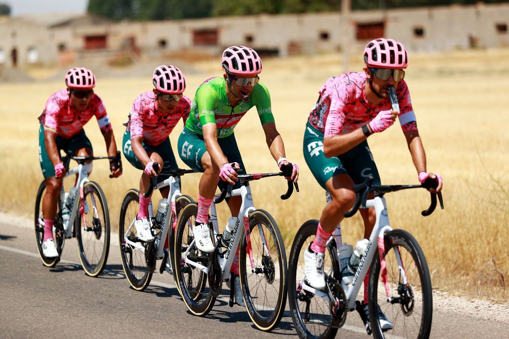CLUNIA SPAIN AUGUST 05 Ruben Guerreiro of Portugal and Team EF Education Easypost Green Points Jersey competes during the 44th Vuelta a Burgos 2022 Stage 4 a 169km stage from Torresandino to Ciudad Romana de Clunia VueltaBurgos on August 05 2022 in Clunia Spain Photo by Gonzalo Arroyo MorenoGetty Images