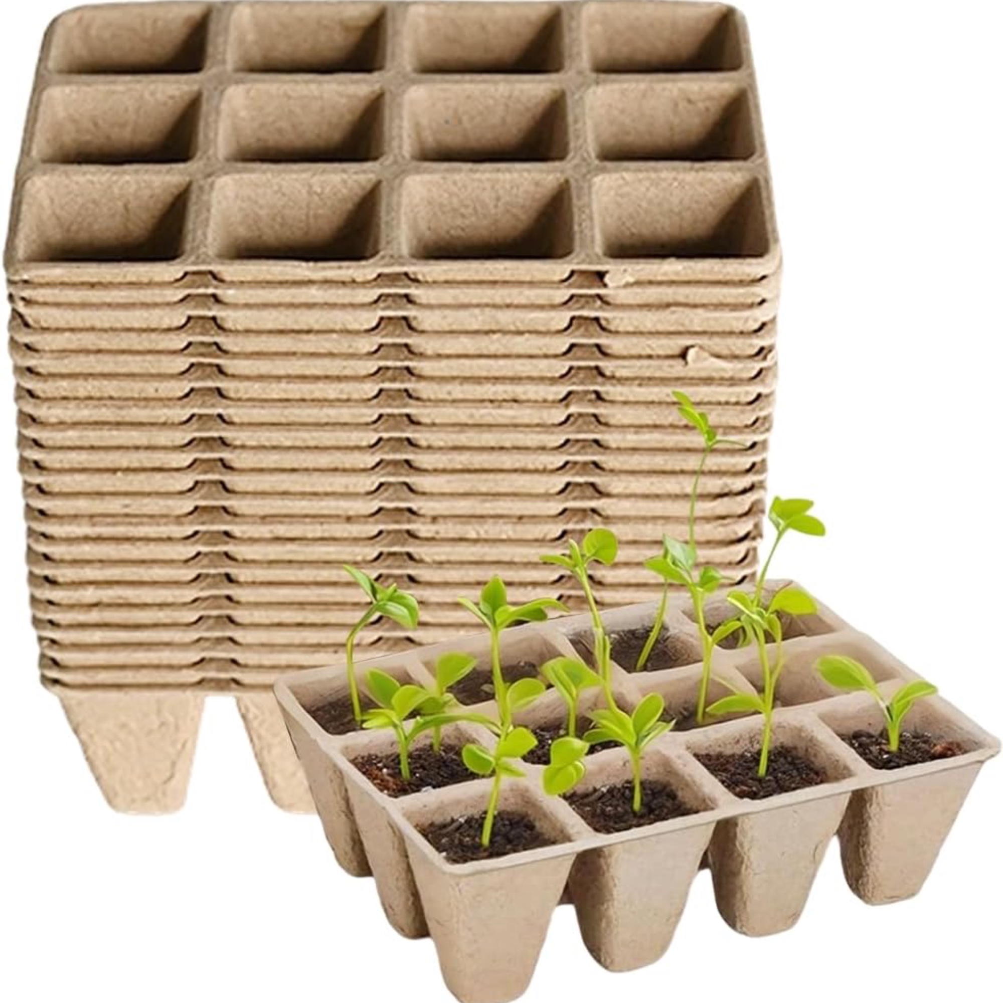 Armo Gardening, Seed Starting Trays, 240 Cells, 20 Pack
