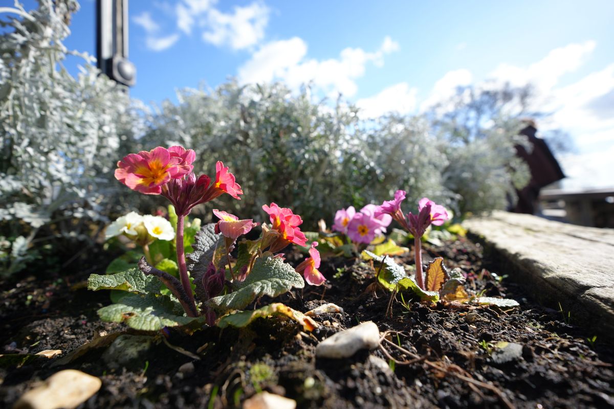Sample image shot with the Sony FE 16mm F1.8 G lens